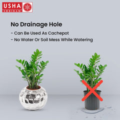 USHA SHRIRAM Stainless Steel Flower Pot | Round Shaped Planter | 6L | Rust Resistant | Home Décor | Sustainable | Planter for Office, Living Room | Indoor Plants