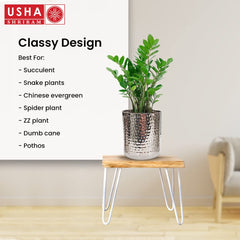 USHA SHRIRAM Stainless Steel Flower Pot | Tower Planter | Rust Resistant | Home Décor | Sustainable | Planter for Office, Living Room | Indoor Plants (2.2L)